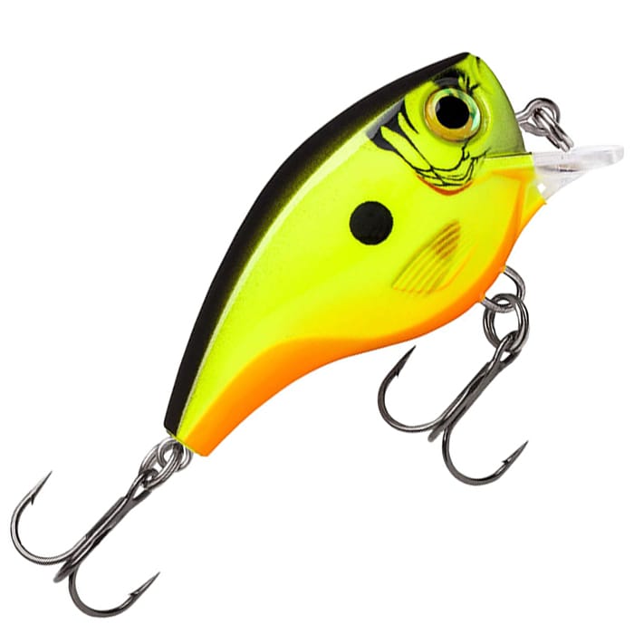Chartreuse Shad