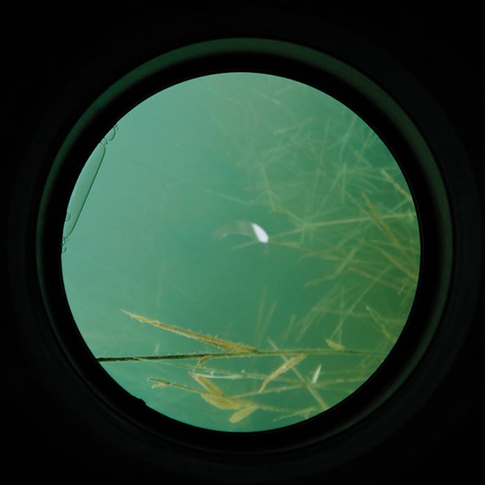 Carp Spirit Water Scanner 6