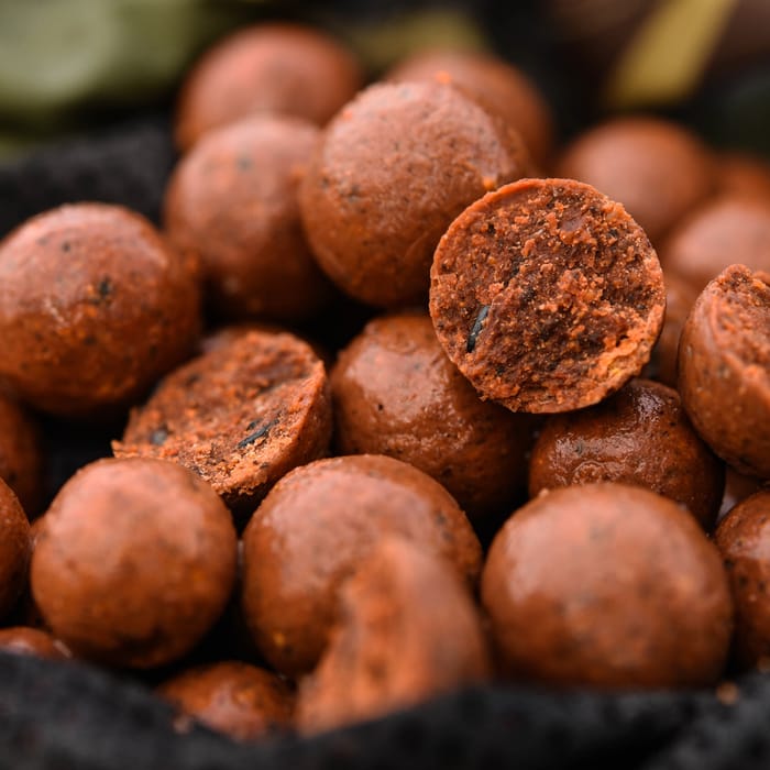 CC Moore Pacific Tuna Freezer Baits Lifestyle