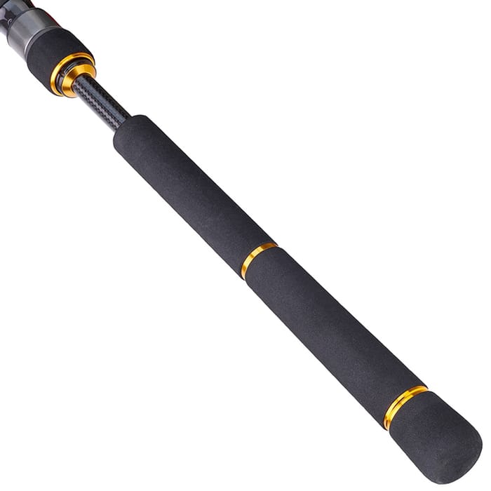 Daiwa BG Sea Bass Rod