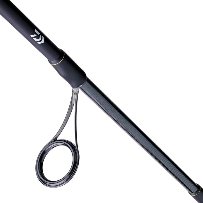 Daiwa BG Sea Bass Rod