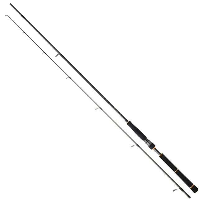 Daiwa BG Sea Bass Rod