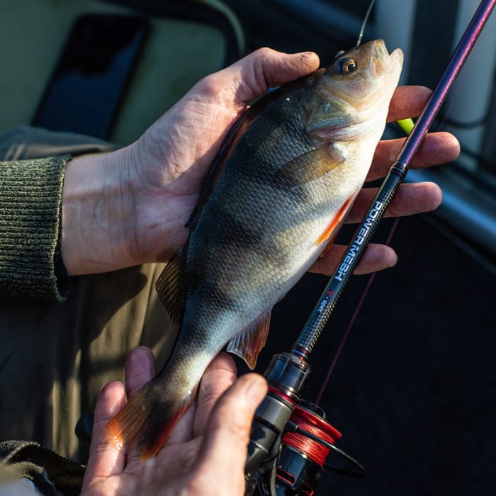 Daiwa Powermesh AX Spinning Fishing Rod In Use  3