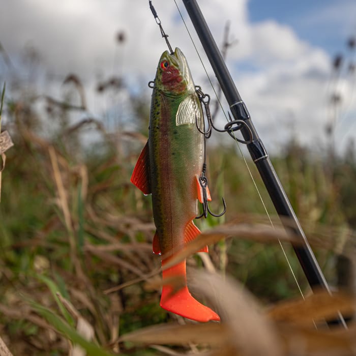 Daiwa prorex trout swimbait 18cm rainbow trout In Use  4
