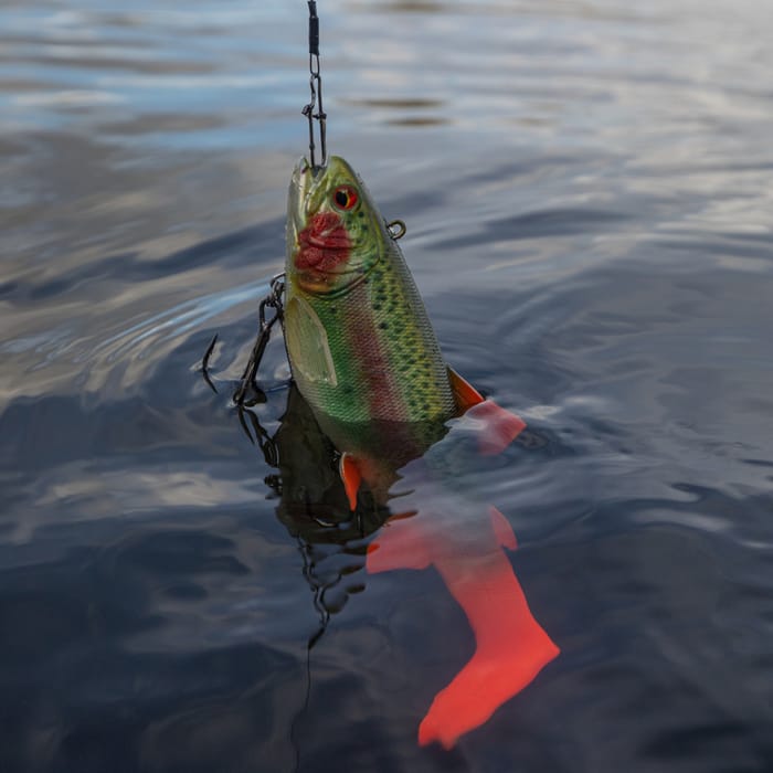 Daiwa prorex trout swimbait 18cm rainbow trout In Use  5