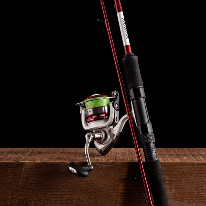 Daiwa Proshooter Combo | Angling Direct