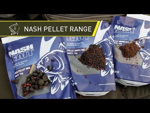 Pellet Fishing at a Park Lake with Lewie Cooper from Nash Tackle
