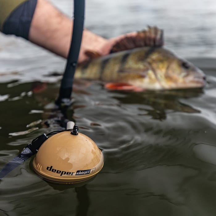 Deeper Chirp+ 2 In Use Boat 2