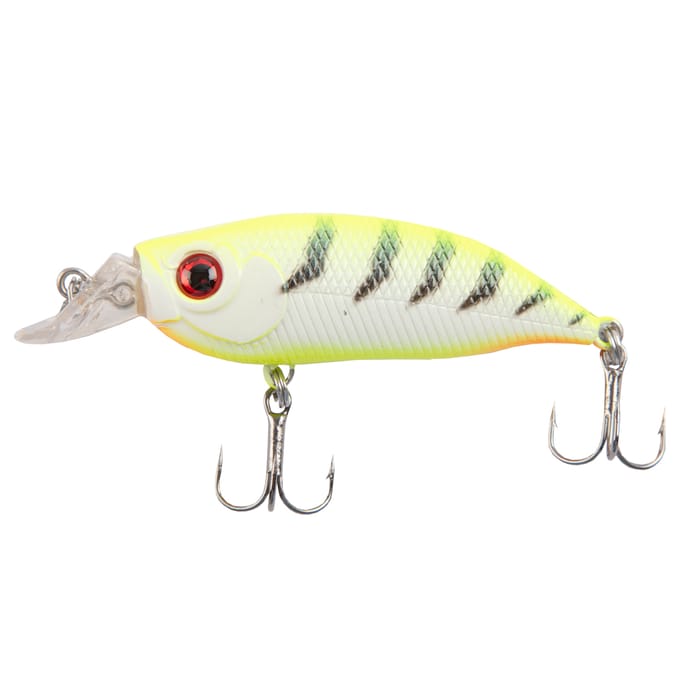 Discover Predator Lure Box - Small Perch Hard Body Lure 9