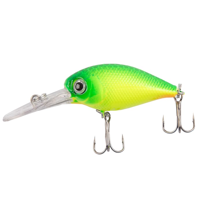 Discover Predator Lure Box - Small Perch Hard Body Lure 2