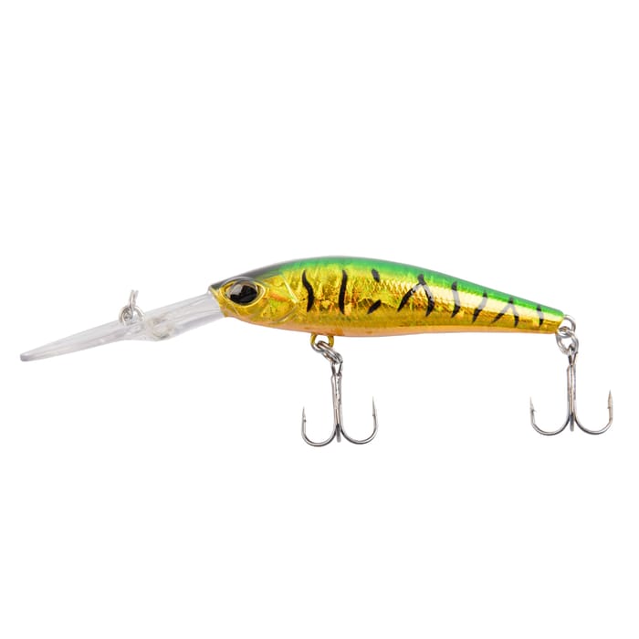 Discover Predator Lure Box - Small Perch Hard Body Lure 5