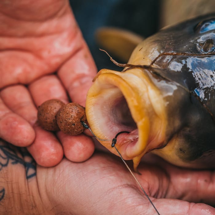 DNA Baits Shelf Life Boilies Secret 7