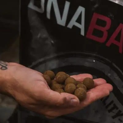 DNA Baits Shelf Life Boilies SLK