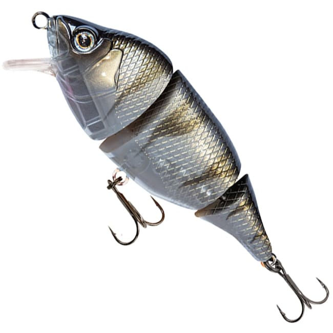 UV Striped Shiner