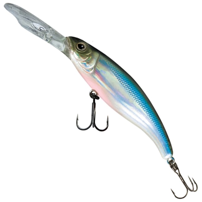UV Cool Herring