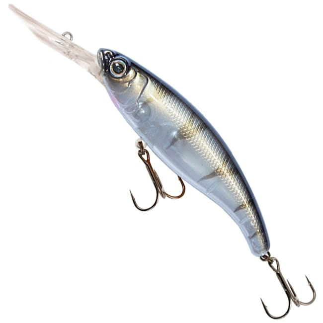 UV Striped Shiner