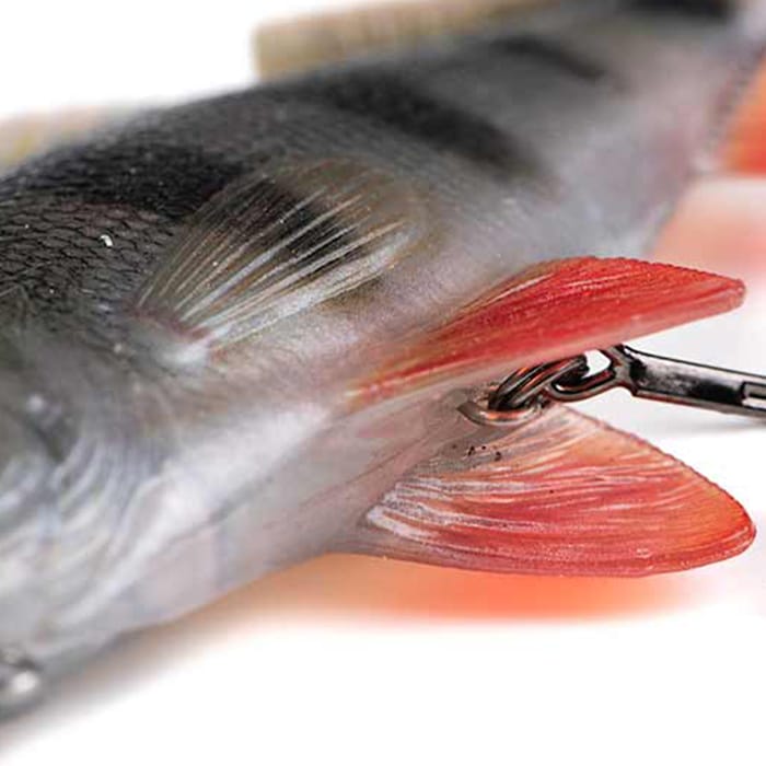 Perch