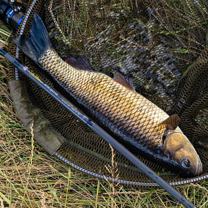 John Wilson Avon Quiver Fishing Rod 2