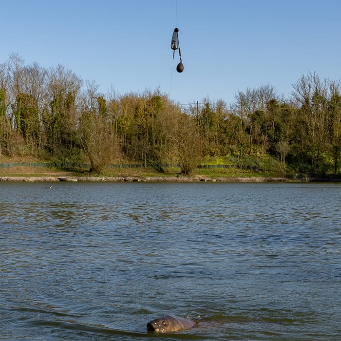 Korda Adjustable Fishing Zig Kit In Use 2