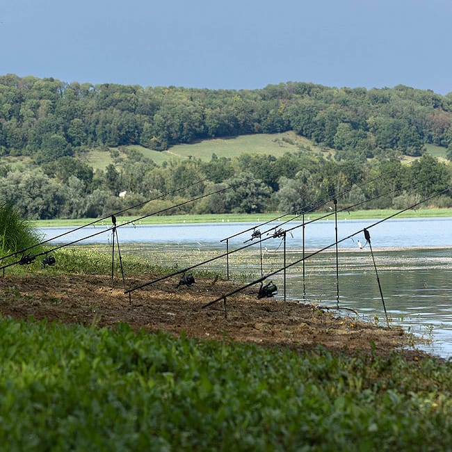 Korda Kaizen Green Carp Rod In Use 5