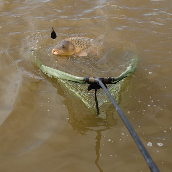 Korum Power Folding Triangle Latex Landing Net 5