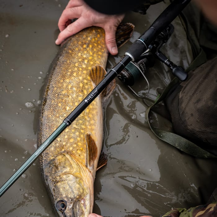 Westin Predator Specimen Rod - Semi Tele