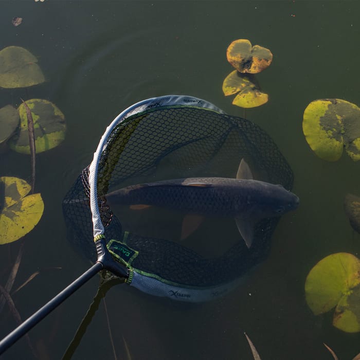 Matrix Carp Landing Net In Use 2