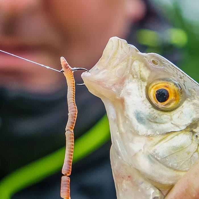 Matrix MXB-2 Medium Spade End Barbed Hooks 2