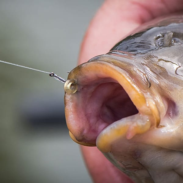 Matrix MXC-6 Medium Eyed Barbless Hooks 4