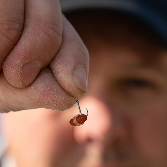 Matrix Super Soft Fishing Bait Bands In Use 5