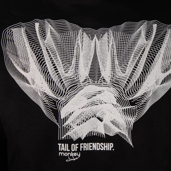 Monkey Climber Tail of Friendship