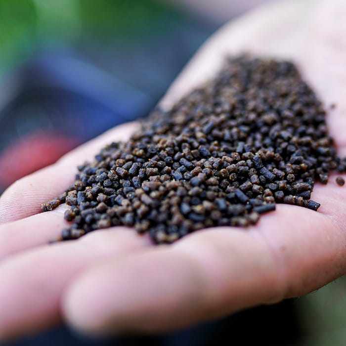 Munch Baits Salmon Micro Pellets 1.5kg 2