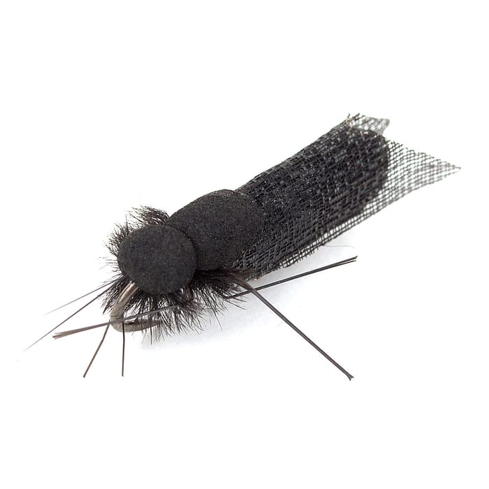 Nash Black Sedge Bugs