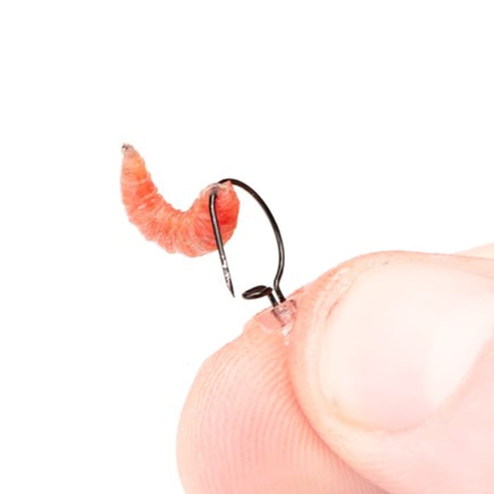 Nash Maggot Fishing Bait Screw 2