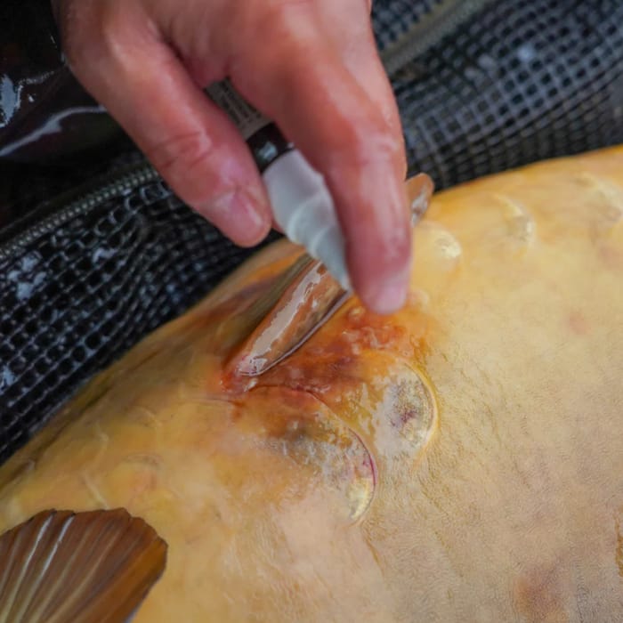 OMC Cyproguard Carp Care