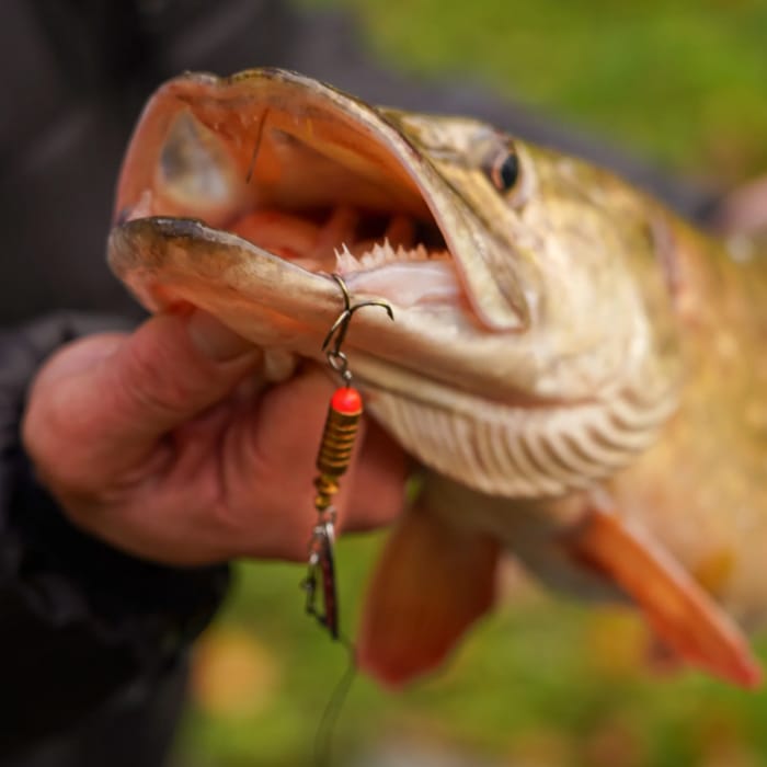 OMC FC Lure Kit - Large