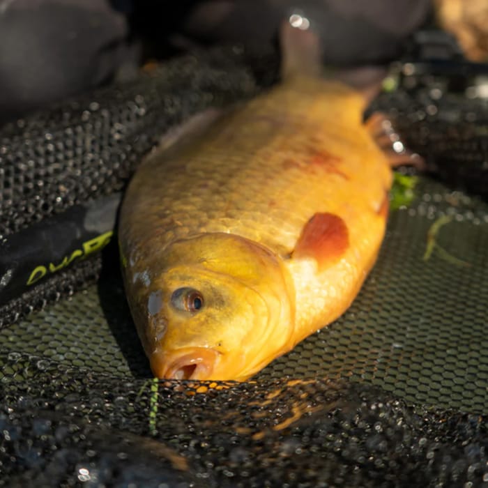 OMC FC Landing Net & Unhooking Mat Combo