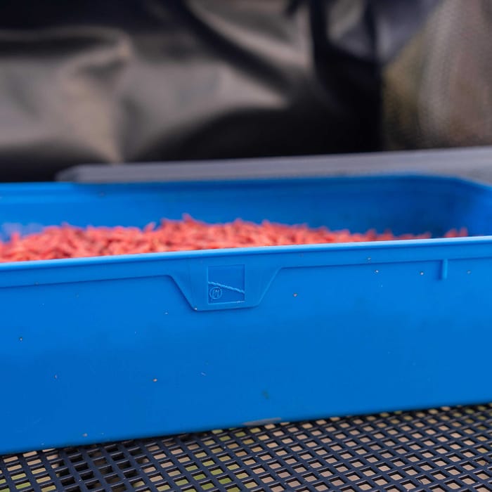 Preston 6 Pint Bait Tub In Use 3