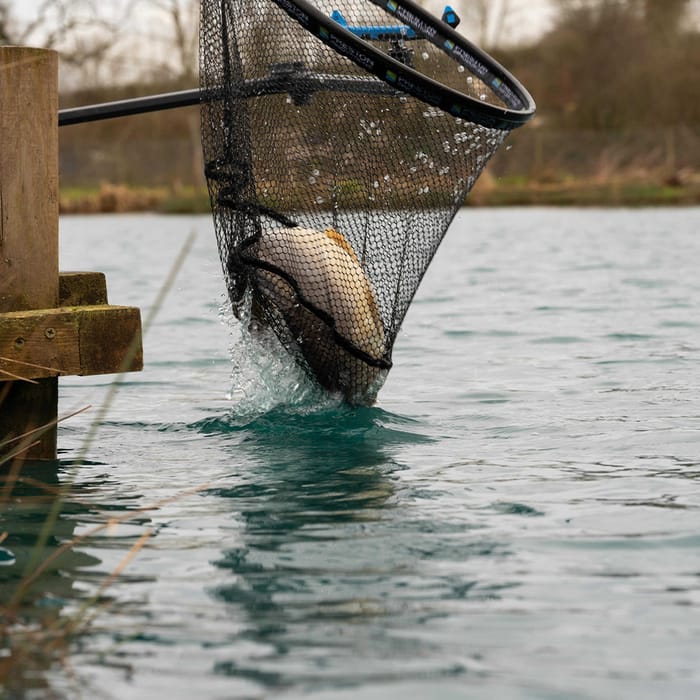 best landing nets for carp fishing Atlas 42 Inch Net - and then fasten the bag to your belly boat or raft with the snap hook Best selling Carp fishing nets