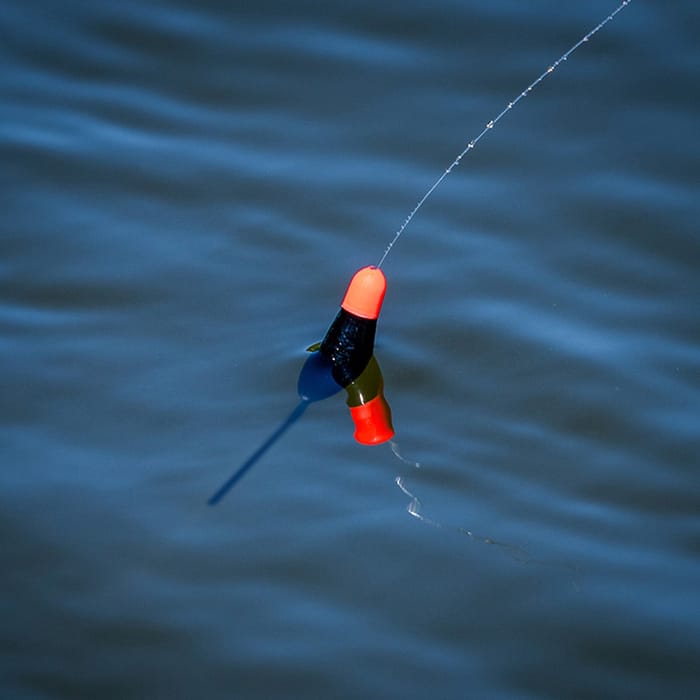 Preston F1 Dibber Pole Floats 4