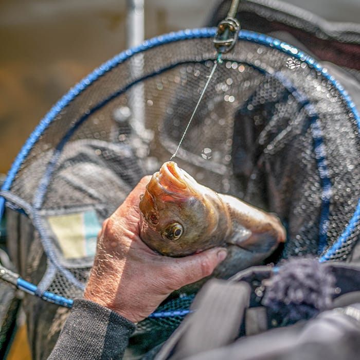 Preston Free Flow Landing Net In Use 1