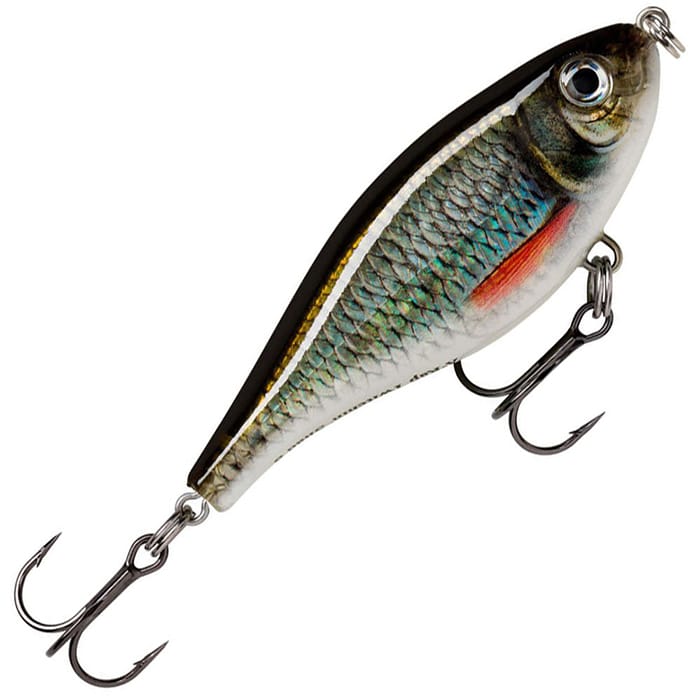 Live Roach