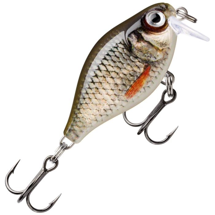 Live Roach