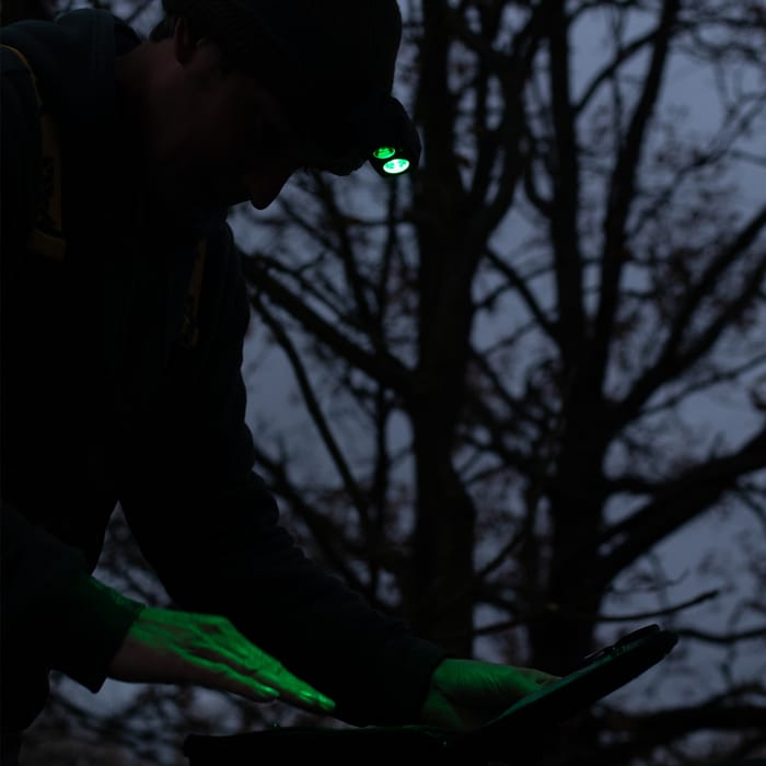 RidgeMonkey VRH300 USB Rechargeable Headtorch In Use 4