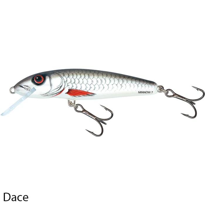 Salmo Minnow 5cm Floating Lure Dace 1