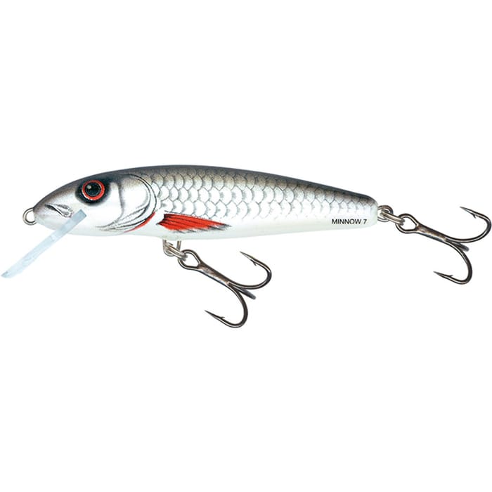 Salmo Minnow 5cm Floating Lure Dace