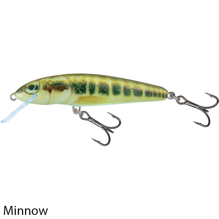 Salmo Minnow 5cm Floating Lure Minnow