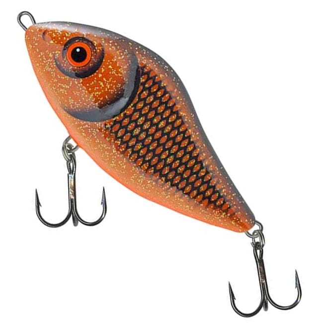 Copper Roach