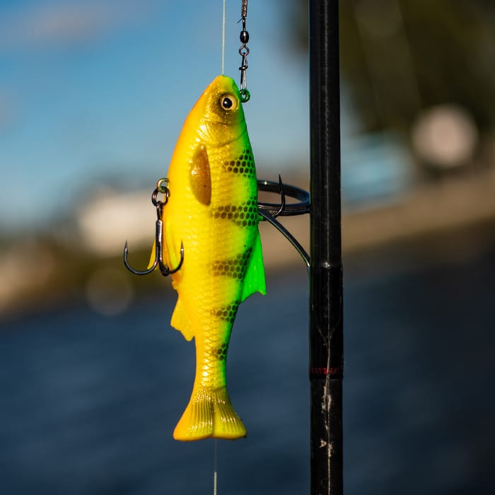 Savage Gear 3D Pulse Tail Roach 10cm In Use
