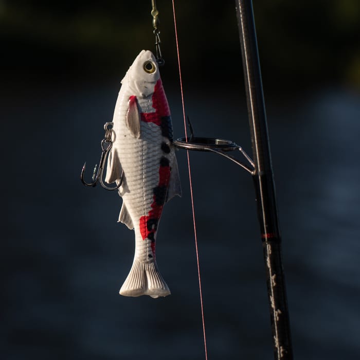 Savage Gear 3D Pulse Tail Roach 10cm In Use 3